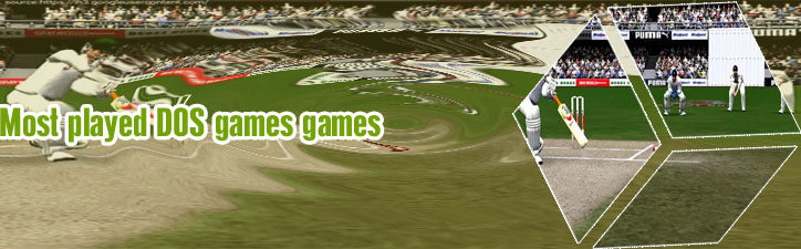 Cricket game pc