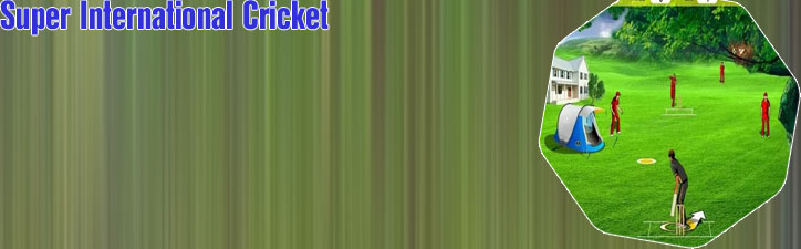 Online cricket games